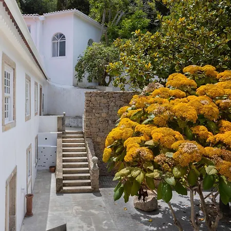 Quinta Do Griffo *