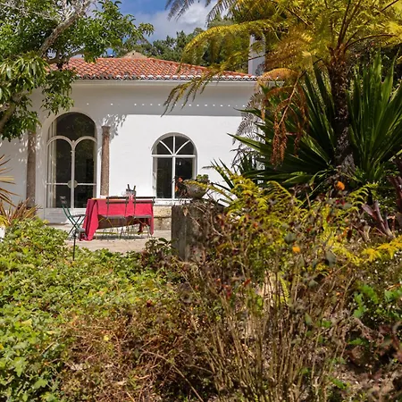 Quinta Do Griffo Colares