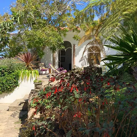 Villa Quinta Do Griffo Colares