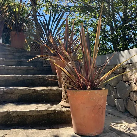 Quinta Do Griffo Villa Colares