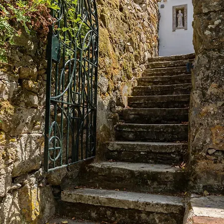 Villa Quinta Do Griffo *