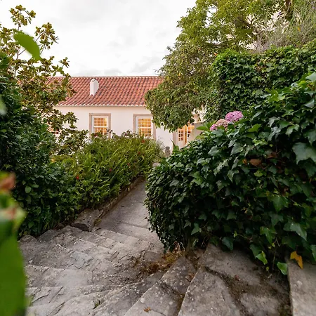 Villa Quinta Do Griffo *